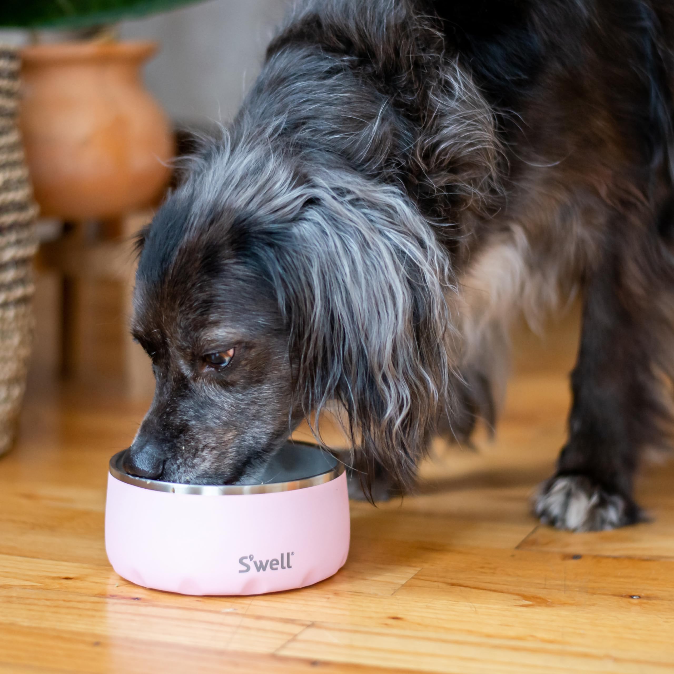 S'well Stainless Steel Pet Bowl, 16oz, Pink Topaz, for Small to Medium Size Dogs, Mess Free Design with Non Slip Rubber Bottom, Dishwasher Safe, BPA Free - Image 5